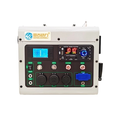 1000 Watts Hand Crank Generator FM AM SW Radio Phone Power Bank Outdoor Manual Dynamo Emergency Light